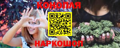 гидра Новозыбков