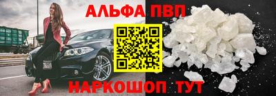 гидра Новозыбков